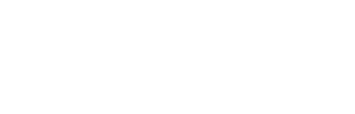 Oracle Partner